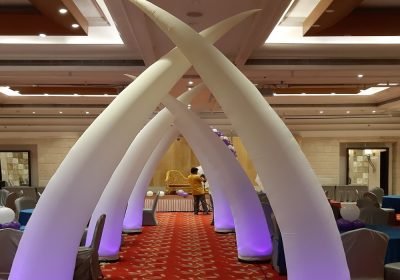 Elephant-Tusk-Entry-scaled